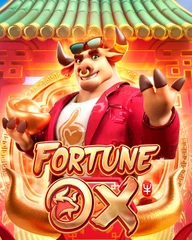 Experiência VIP